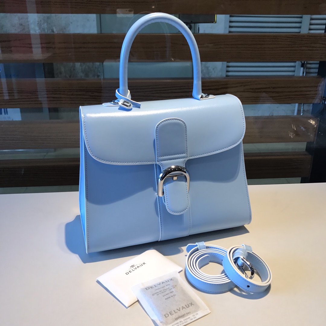 델보 브리앙 박스백 미듐